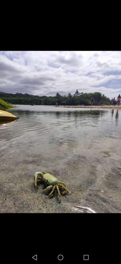 Hostal Estrellas Del Tayrona Playa Mendihuaca Guachaca エクステリア 写真