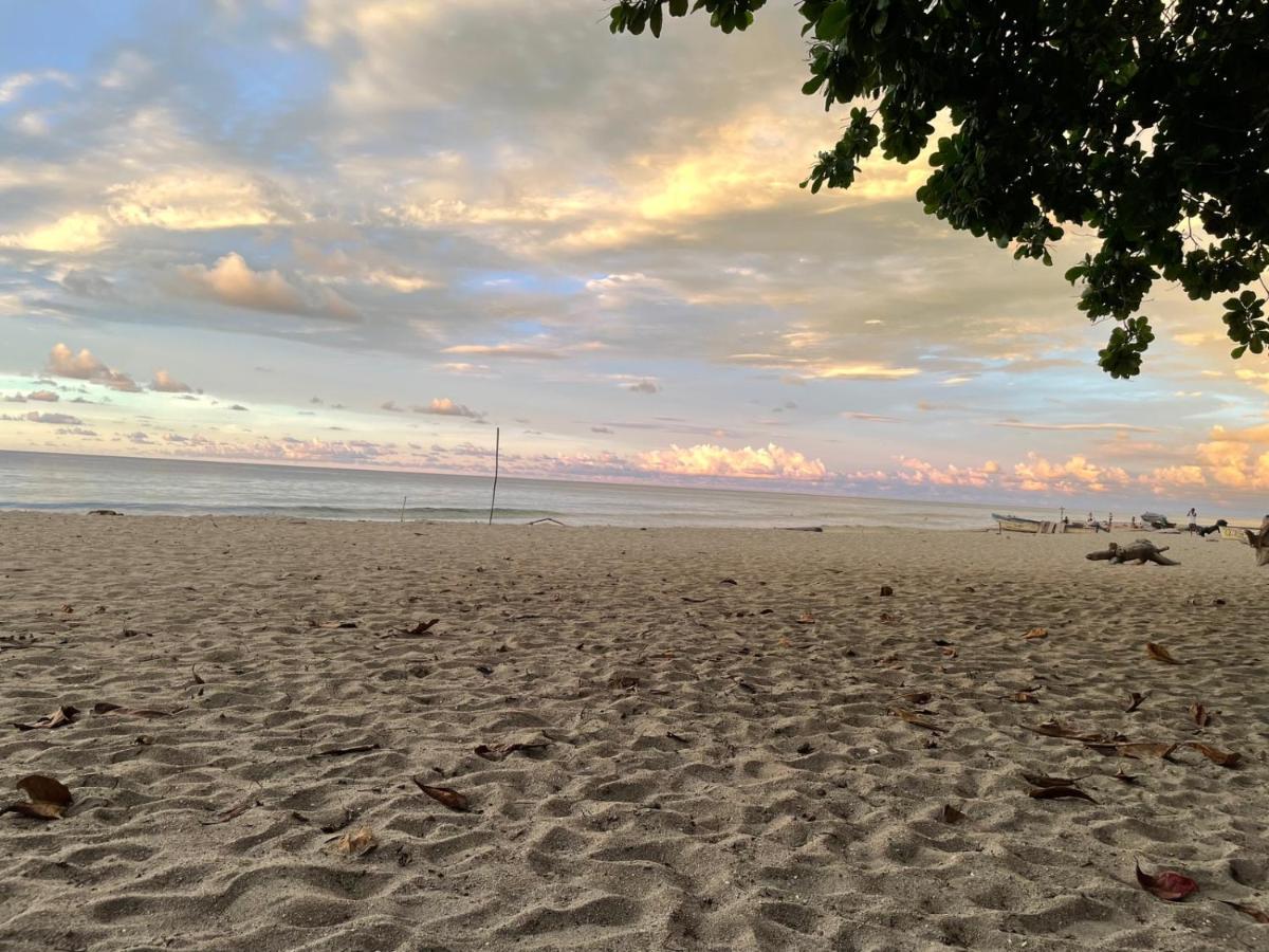 Hostal Estrellas Del Tayrona Playa Mendihuaca Guachaca エクステリア 写真