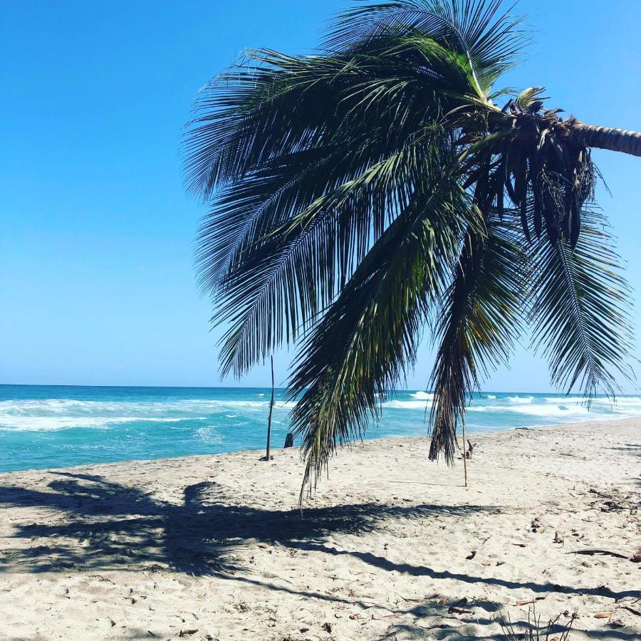 Hostal Estrellas Del Tayrona Playa Mendihuaca Guachaca エクステリア 写真